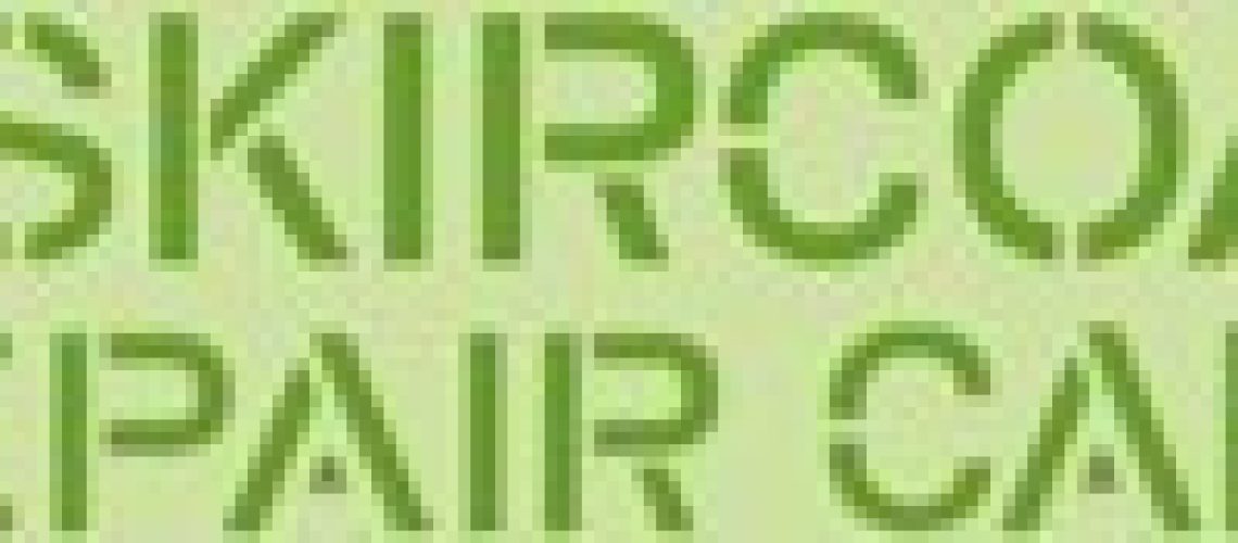 Repair logo
